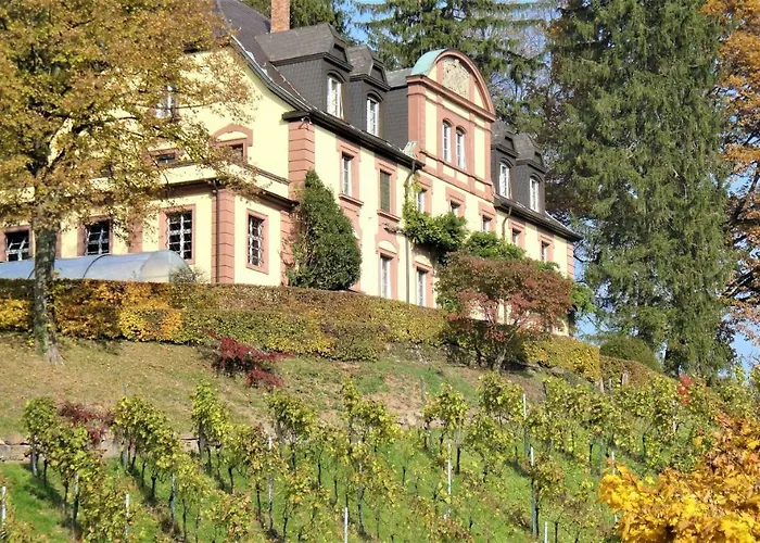 Wein - Josephsberg Durbach