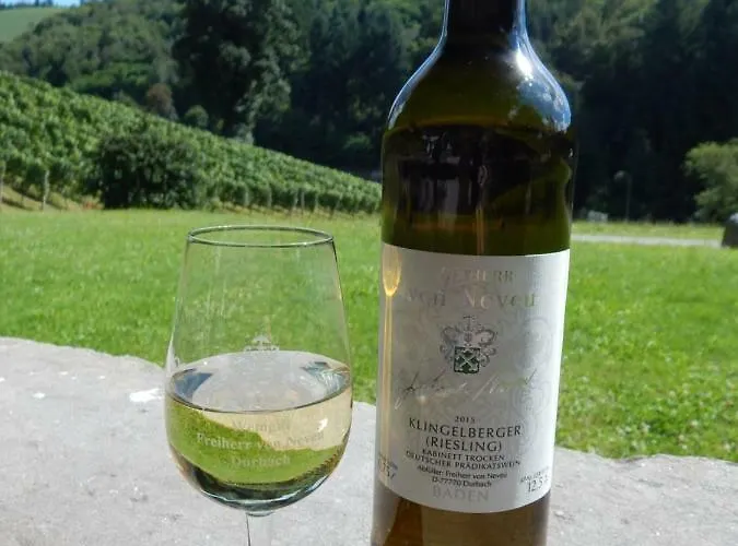 Appartamento Wein - Josephsberg Durbach